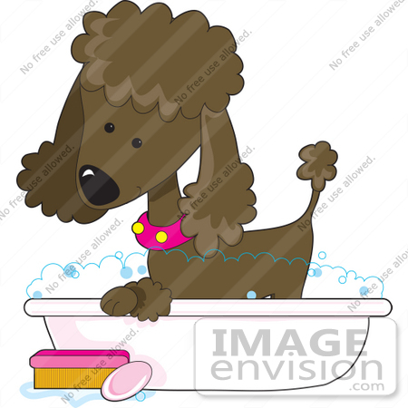 #41632 Clip Art Graphic of a Bathing Chocolate Poodle in a Tub by Maria Bell