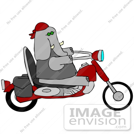 #41664 Clip Art Graphic of a Gray Elephant Biker on a Motorcycle by DJArt