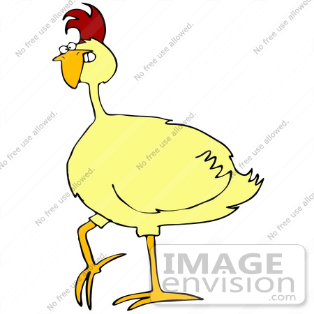 #41667 Clip Art Graphic of a Goofy Yellow Bird Walking by DJArt