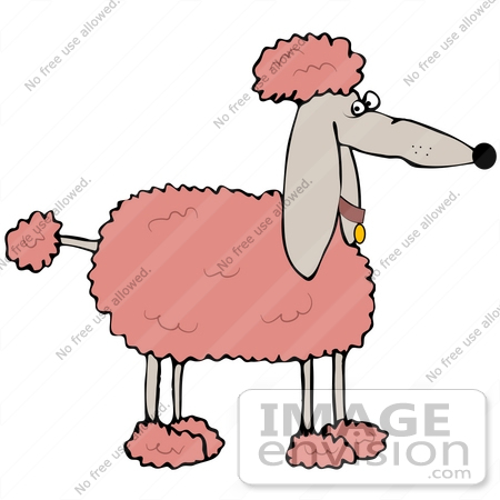 #41676 Clip Art Graphic of a Prissy Pink Poodle in Profile by DJArt