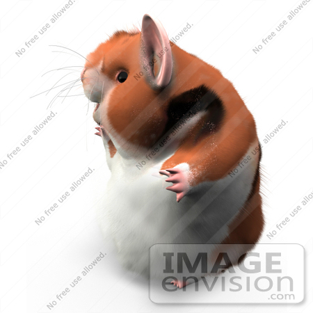 #42302 Clip Art Graphic of a Profiled 3d Hamster by Jester Arts
