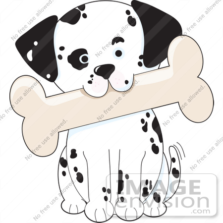 #42314 Clip Art Graphic of a Dalmatian Puppy Carrying A Big Bone In His Mouth by Maria Bell