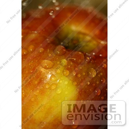 #430 Picture of an Apple Getting Rinsed Off by Kenny Adams
