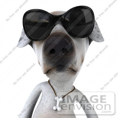#43119 Royalty-Free (RF) Clipart Illustration of a 3d Jack Russell Terrier Dog Mascot Wearing Sunglasses - Pose 1 by Julos