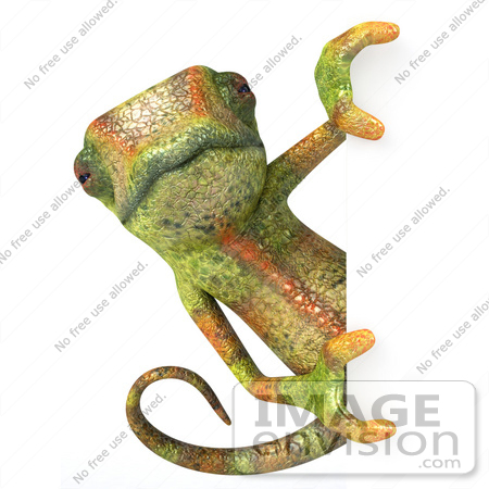 #43163 Royalty-Free (RF) Clipart Illustration of a 3d Lizard Chameleon Mascot Looking Around A Blank Sign - Pose 1 by Julos