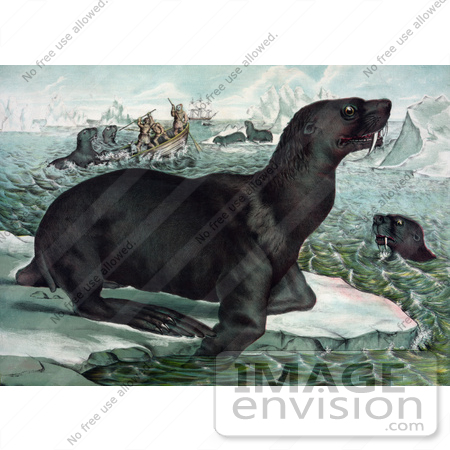 #43218 RF Illustration Of Sea Lions, Ice Bergs And Ships by JVPD