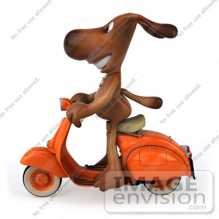 #44181 Royalty-Free (RF) Cartoon Illustration of a 3d Brown Dog Mascot Riding a Scooter - Pose 1 by Julos