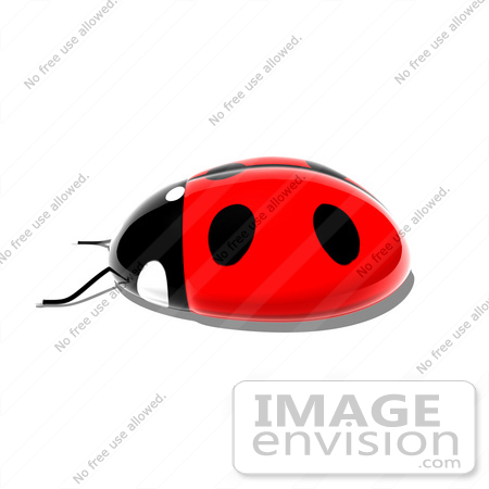#44376 Royalty-Free (RF) Illustration of a 3d Shiny Ladybug - Pose 5 by Julos