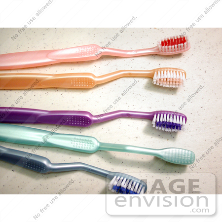 #460 Photograph of Toothbrushes by Jamie Voetsch
