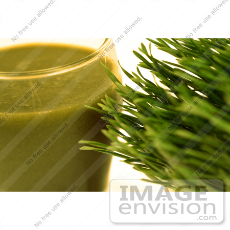 #4607 Wheatgrass and Juice by Jamie Voetsch