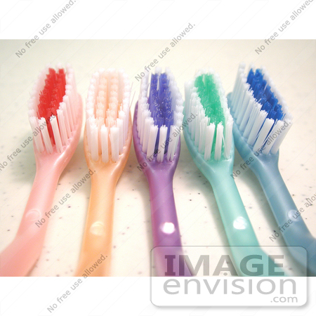 #461 Image of Toothbrushes by Jamie Voetsch