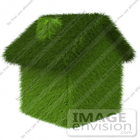 #46990 Royalty-Free (RF) Illustration Of A 3d Grass House - Version 2 by Julos