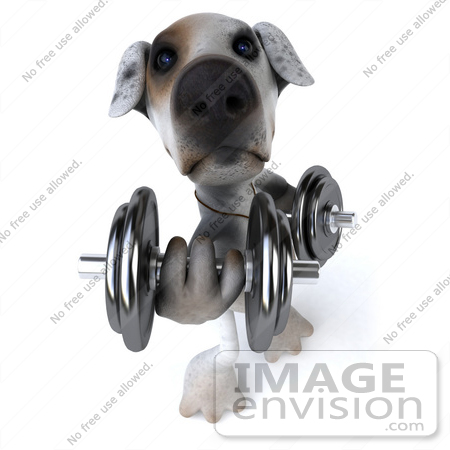 #48279 Royalty-Free (RF) Illustration Of A 3d Jack Russell Terrier Dog Mascot Weghtlifting With Dumbbells - Version 1 by Julos