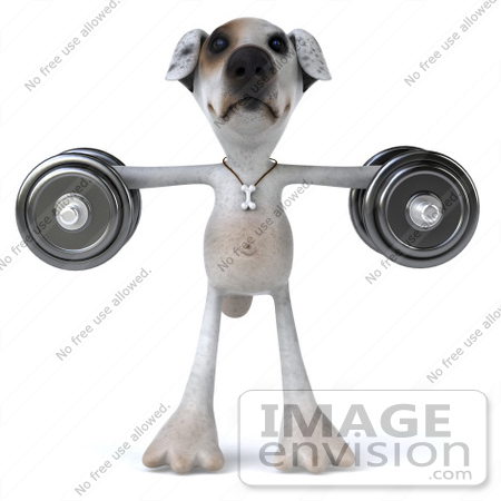 #48281 Royalty-Free (RF) Illustration Of A 3d Jack Russell Terrier Dog Mascot Weghtlifting With Dumbbells - Version 2 by Julos