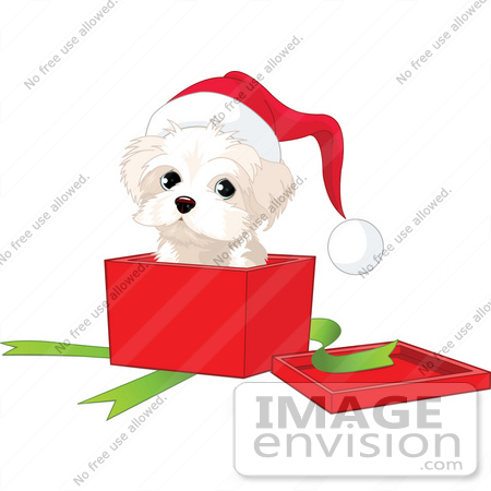 #48296 Clip Art Illustration Of A West Highland Terrier Puppy Wearing A Santa Hat And Looking Out Of A Xmas Gift Box by pushkin