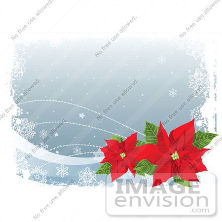 #48515 Clip Art Illustration Of A Gray Winter Xmas Background With Snowflakes, White Grunge And Red Poinsettias by pushkin