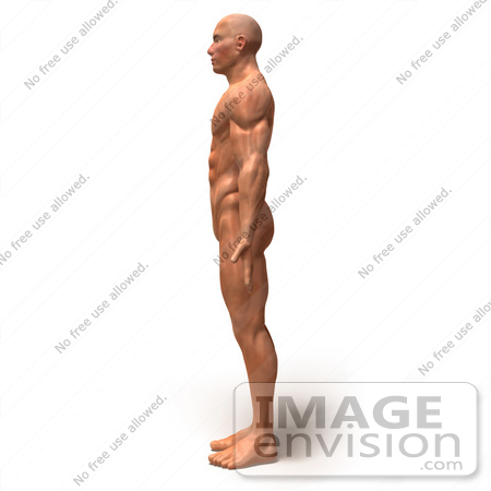 #49786 Royalty-Free (RF) Illustration Of A 3d Muscle Male Body Facing Left - Version 4 by Julos