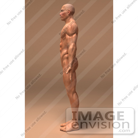 #49929 Royalty-Free (RF) Illustration Of A 3d Human Body Muscle Tissue Facing Left - Version 2 by Julos
