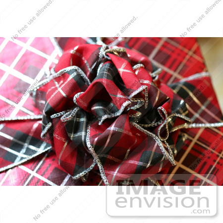#500 Photograph of a Plaid Colored Christmas Present by Jamie Voetsch