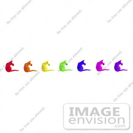 #505 Photograph of Rainbow Cats Looking Down Drains by Jamie Voetsch