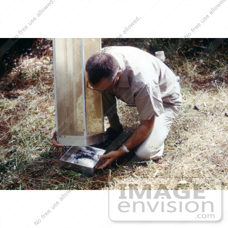 #5181 Stock Photography of a Field Researcher Removing a Tray Filled with Mosquitoes from a Horse Stable Mosquito Trap by JVPD