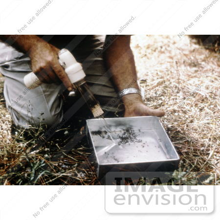 #5183 Stock Photography of a Researcher Removing Mosquitoes with a Mechanical Aspirator from the Tray of a Horse Stable Mosquito Trap by JVPD