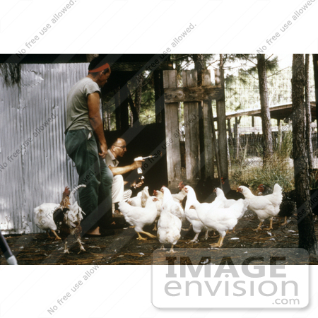 #5184 Stock Photography of a Researcher Using a Mechanical Aspirator to Collect Mosquitos from behind a Chicken Coop by JVPD
