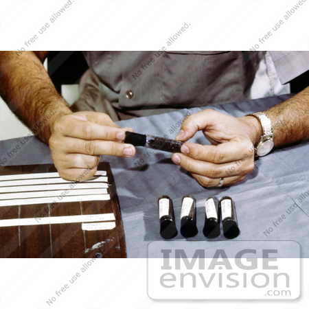 #5198 Picture of a Field Researcher Placing Stoppers in Tubes Filled with Mosquitoes that will be used for Arbovirus Studies by JVPD