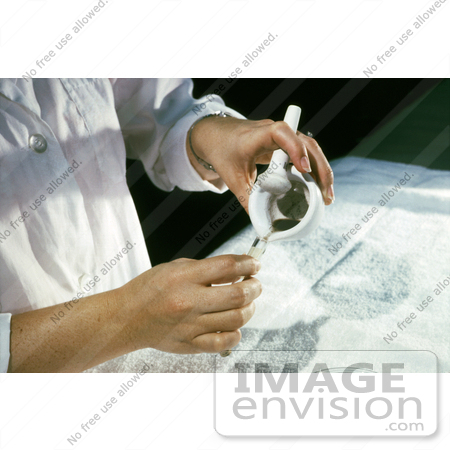 #5206 Stock Photography of a Laboratory Technician Pouring a Ground Mosquito Suspension into a Vial During an Arbovirus Study by JVPD