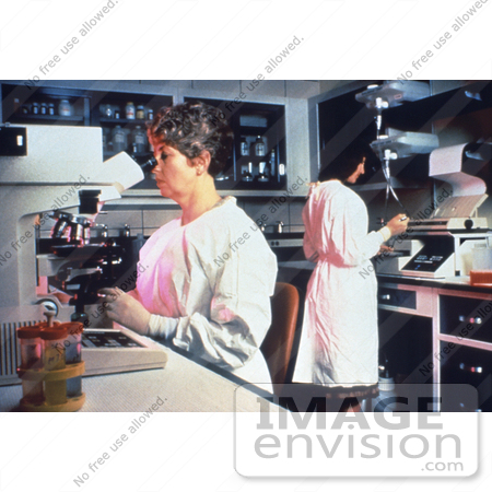 #5211 Picture of Researchers Working in a Laboratory Trying to Identifying the Cause of an Infectious Disease Outbreak by JVPD