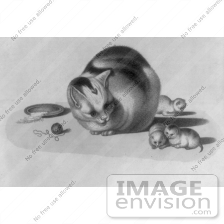 #5274 Calico Cat and Kittens by JVPD