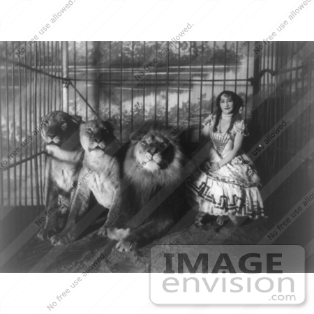 #5312 Adgie in Cage With 3 Lions by JVPD