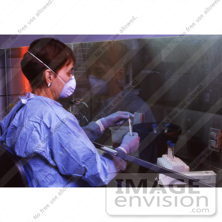 #5321 Picture of a Scientist Working Under a Biohazardous Material Ventilated Filtration Hood by JVPD