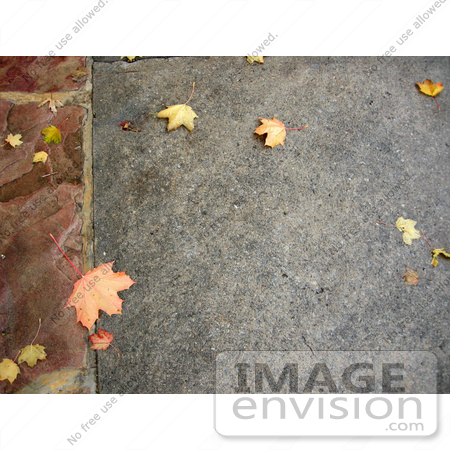 #53721 Royalty-Free Stock Photo of a Autumn Sidewalk by Maria Bell