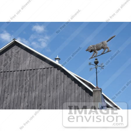 #53737 Royalty-Free Stock Photo of a Dog Weathervane by Maria Bell