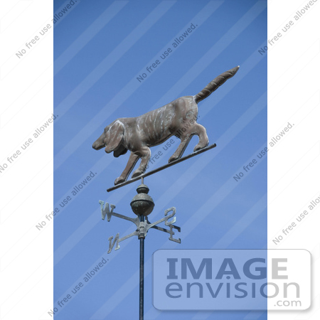#53739 Royalty-Free Stock Photo of a Dog Weathervane by Maria Bell