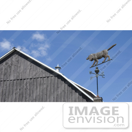 #53741 Royalty-Free Stock Photo of a Dog Weathervane by Maria Bell