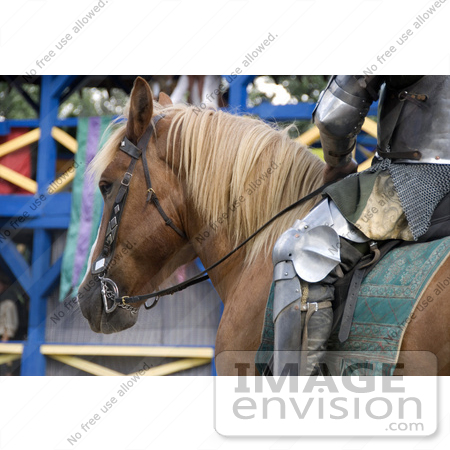 #53763 Royalty-Free Stock Photo of a Knight’S Horse by Maria Bell