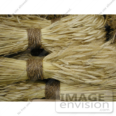 #53779 Royalty-Free Stock Photo of Rolls of Wheat by Maria Bell