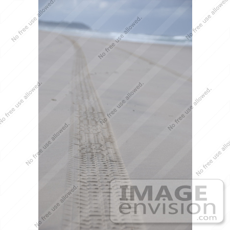 #53782 Royalty-Free Stock Photo of Tracks on a Beach by Maria Bell
