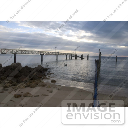 #53828 Royalty-Free Stock Photo of a pier and pelican on a beach by Maria Bell
