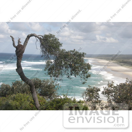 #53835 Royalty-Free Stock Photo of a Long Beach by Maria Bell
