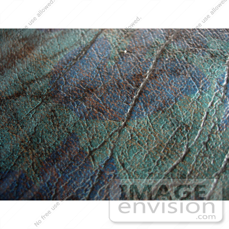 #53854 Royalty-Free Stock Photo of a vinyl texture by Maria Bell