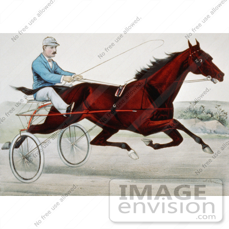 #5436 Trotting mare Nancy Hanks by JVPD