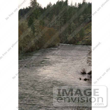 #546 Picture of the Southwestern Oregon Rogue River by Kenny Adams