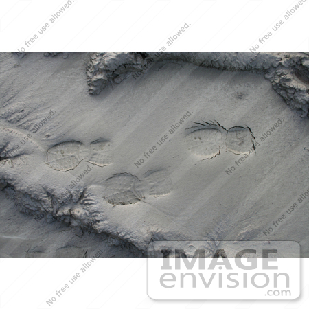 #558 Photograph of Footprints in the Mud by Jamie Voetsch