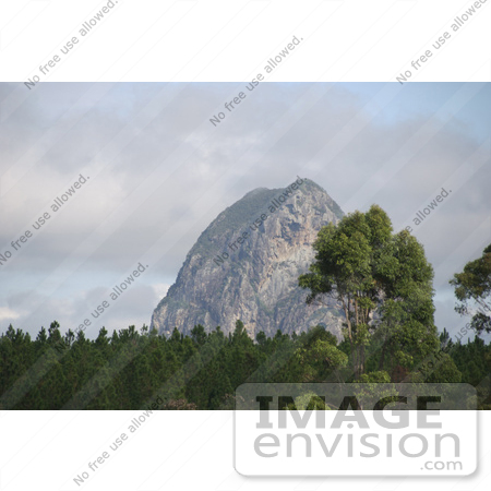 #56135 Royalty-Free Stock Photo of a View Of The Glass House Mountains, Queensland, Australia by Maria Bell