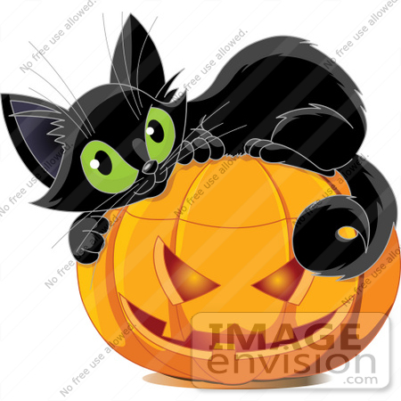 #56221 Royalty-Free (RF) Clip Art Illustration Of A Cute Black Kitten Curled Up On Top Of A Halloween Pumpkin by pushkin