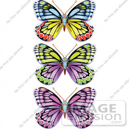 #56397 Royalty-Free (RF) Clip Art Illustration Of A Digital Collage Of Three Colorful Butterfly Bugs by pushkin