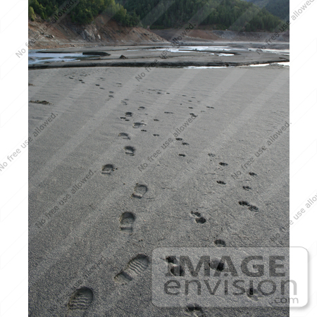 #564 Photograph of Human and Dog Prints in the Mud by Jamie Voetsch